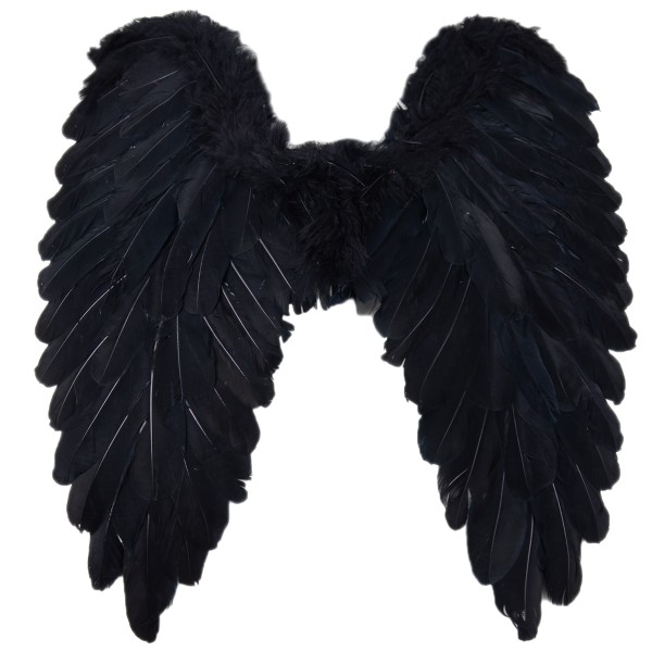 Flügel schwarz