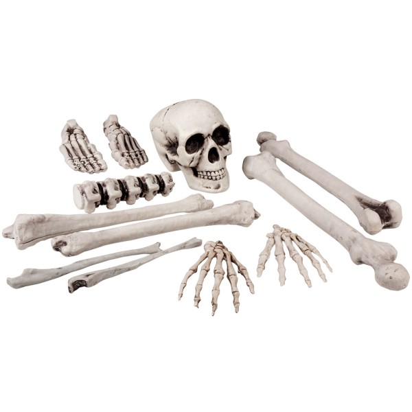 Skelettteile Halloweendeko
