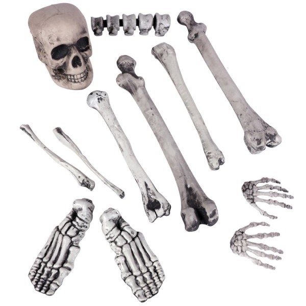 Skelett und Knochen Halloweendeko