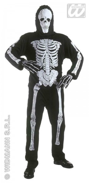Skelett Erwachsene 1tlg.